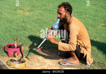 A man playing music on a musical instrument to coiled cobra snakes, India Stock Photo