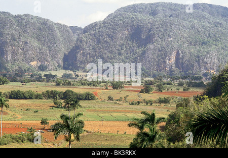 Vinales Valley Pinar del Rio Province of Cuba encircled by mountains & landscape interspersed with dramatic rocky outcrops Stock Photo