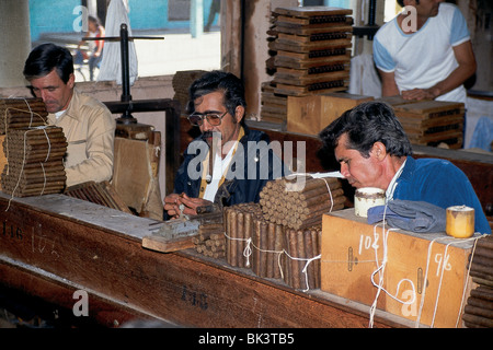 Workers rolling cigars in a cigar factory in Manicaragua, Villa Clara Province, Cuba Stock Photo