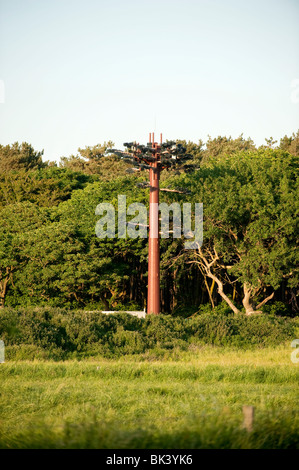 Mobile phone mast disguised as a tree Stock Photo