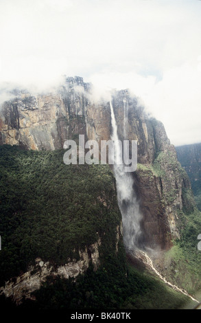 Angel Falls or Salto Angel is the world's highest waterfall in Canaima National Park, Venezuela Stock Photo