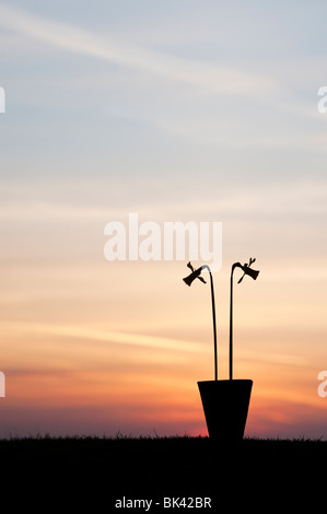 Daffodils in a pot silhouette against a sunrise Stock Photo
