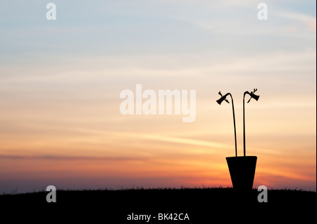 Daffodils in a pot silhouette against a sunrise Stock Photo