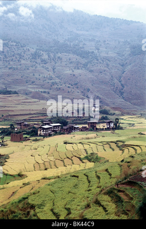 Rice fields and farming community in the Kingdom of Bhutan Stock Photo