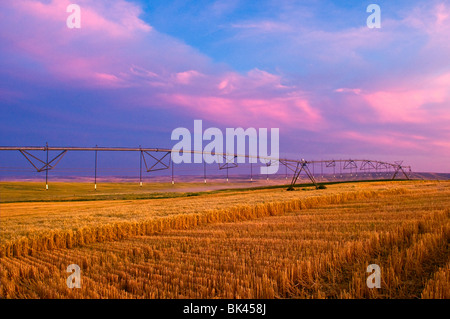 Pivot irrigation equipment over a recently harvested wheat field at sunset in Eastern Washington Stock Photo