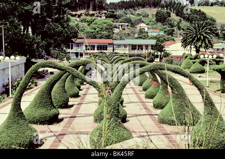 Topiary wavy archways carved from conifer cypress in Zarcero, Costa Rica Stock Photo