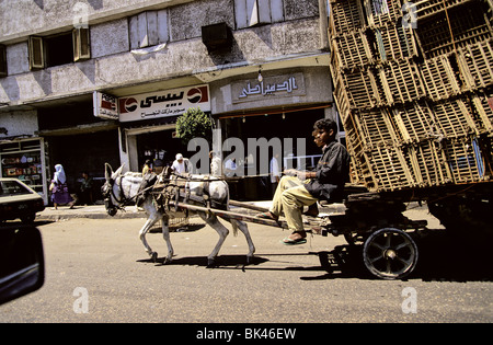 Donkey pulling a cart overloaded with wooden crates in Cairo, Egypt Stock Photo