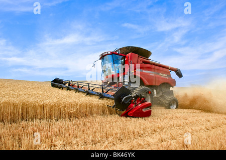 Case leveling combine harvesting wheat on a hillside in the Palouse ...