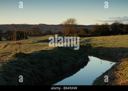 Durleigh Brook as the sun rises over The Meads. Stock Photo
