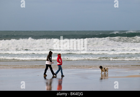 A couple walking their dog on Fistral Beach in Cornwall. Stock Photo