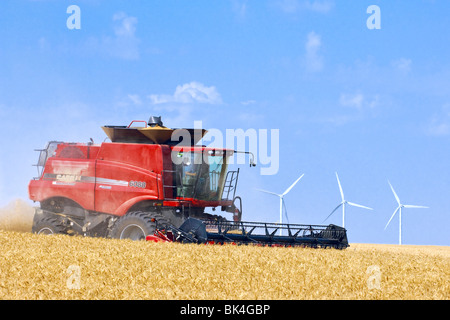 A Case combine harvests wheat in the vicinity of a wind farm in the Palouse region of Washington Stock Photo