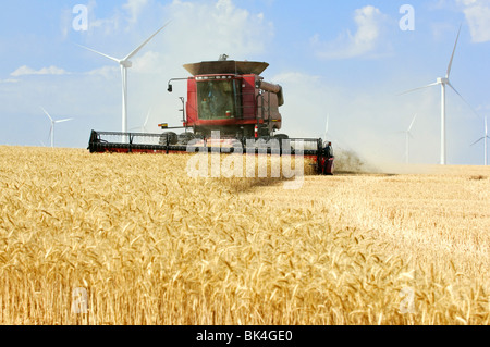 A Case combine harvests wheat in the vicinity of a wind farm in the Palouse region of Washington Stock Photo