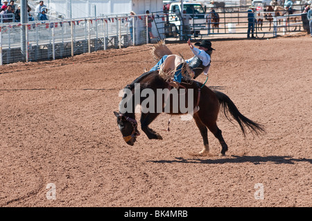 a cowboy competes in the bareback riding event during the O'Odham Tash all-indian rodeo Stock Photo