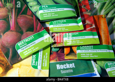 a variety of vegetable seeds and bulbs ready to be planted in a small veg plot self sufficient grow your own Stock Photo