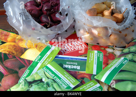 a variety of vegetable seeds and bulbs ready to be planted in a small veg plot self sufficient grow your own Stock Photo