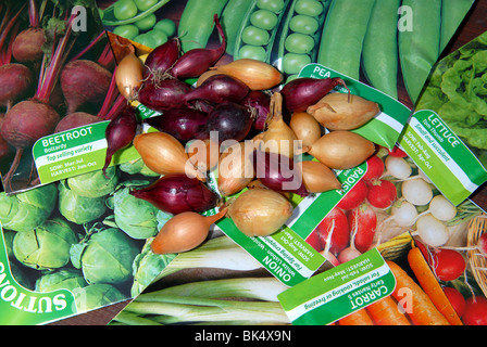 a variety of vegetable seeds and bulbs ready to be planted in a small veg plot self sufficient grow your own Stock Photo