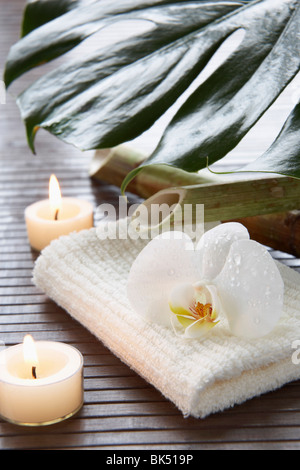 Orchid and Candles Stock Photo