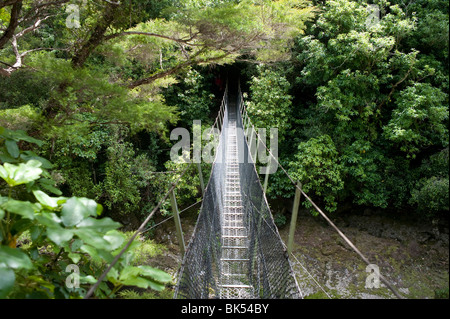 Rope Bridge Tasman National Park, Pohara, South Island, New Zealand Stock Photo