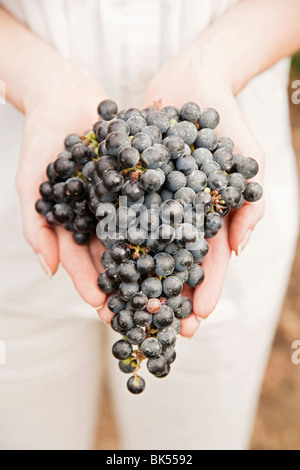 Close-up of Woman Holding Grapes Stock Photo