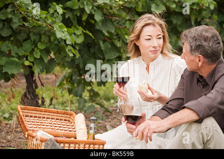 Couple Having a Picnic in a Vineyard Stock Photo