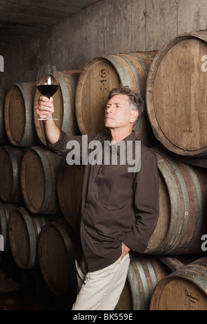 Winemaker Examining a Glass of Wine Stock Photo