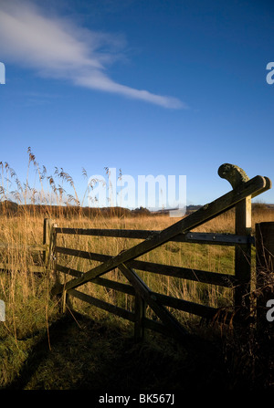 Traditional five - barred gate, Distant Dunhill Castle, The Copper Coast Geopark, County Waterford, Ireland Stock Photo