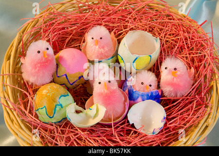 Easter chick bunny egg eggs hatch hatching basket Stock Photo