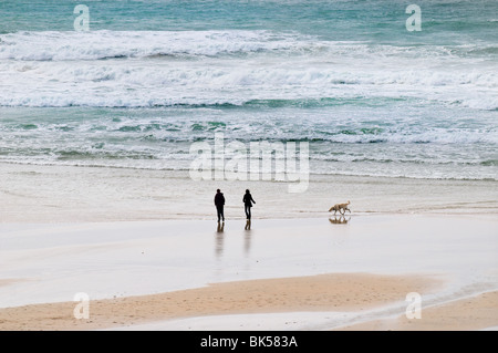 A couple walking their dog on Fistral Beach in Newquay in Cornwall. Stock Photo