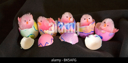 Happy Easter chick bunny basket egg eggs Stock Photo