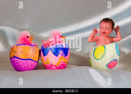 Happy easter bunny chick chicks baby egg eggs easter Stock Photo