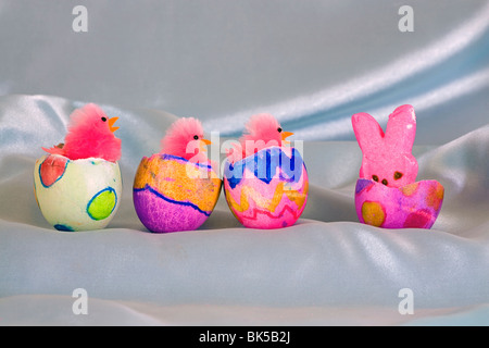 Easter chick bunny egg eggs hatch hatching Stock Photo