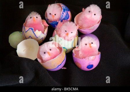 easter baby chick chicks colored egg eggs bunny Stock Photo