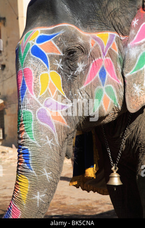 Painted elephant, Amber Fort Palace, Jaipur, Rajasthan, India, Asia Stock Photo