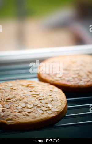 Fresh home makde cake cooling on a rack on a window ledge in a kitchen Stock Photo
