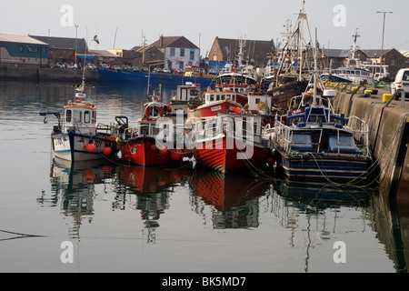Fishing boats, Howth harbour, County Dublin, Republic Ireland, Europe Stock Photo
