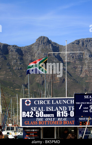 Sign advertising boat tours to Seal Island from Hout Bay Harbour, Cape Town, South Africa. Stock Photo