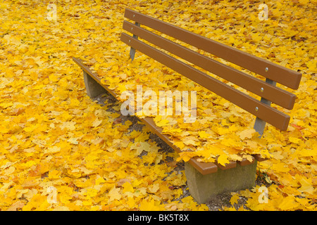 Park Bench with Maple Leaves in Autumn, Nuremberg, Bavaria, Germany Stock Photo