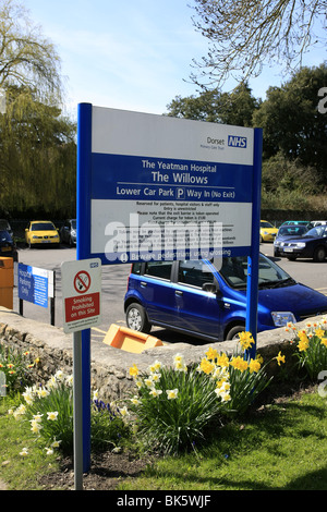 Daffodils at the entrance to the Yeatman NHS Hospital The Willows Sherborne Dorset Stock Photo