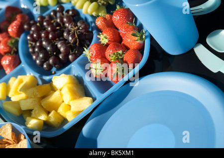Outdoor meal or picnic on a black table with blue plastic bowls, cups, and jugs with fruit and salad Stock Photo