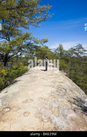 Red River Gorge State Park in Kentucky Stock Photo