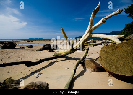 Tioman island coastline beach rock formation asia Stock Photo