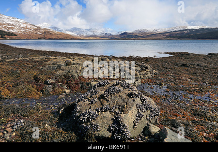 Beautiful late spring day with snow capped mountains at Loch Beg on the Isle of Mull, Scotland Stock Photo