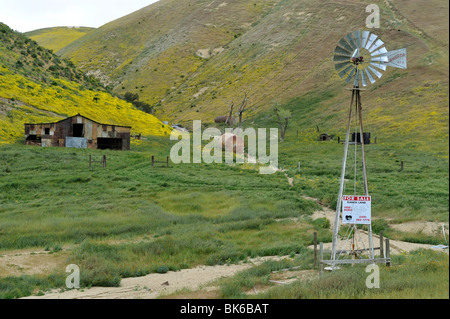 For Sale Ranch with colorful hillside with Goldfields (Asteraceae Lasthenia) along Highway 58, Kern County, CA 100411 35317 Stock Photo
