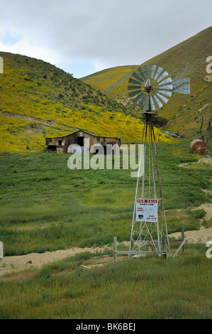 For Sale Ranch with colorful hillside with Goldfields (Asteraceae Lasthenia) along Highway 58, Kern County, CA 100411 35318 Stock Photo