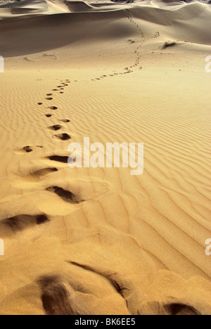 footprints in  the sand dunes, Thar Desert Stock Photo
