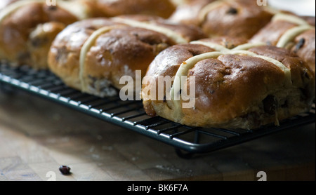 Hot Cross Buns On Cooling Rack Stock Photo