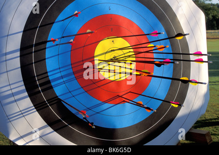 arrows shot at archery target Stock Photo