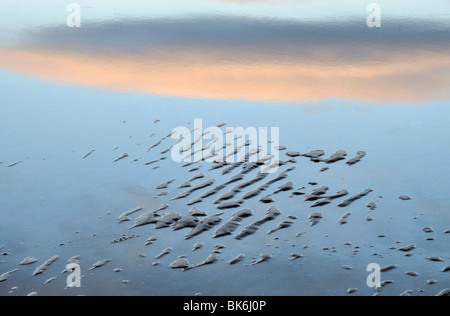 Sand ripples and reflection of sunset clouds, Red Wharf Bay, Anglesey, Wales Stock Photo