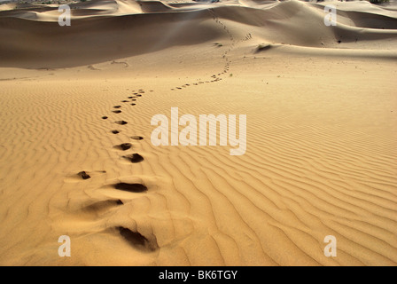 footprints in  the sand dunes, Thar Desert Stock Photo
