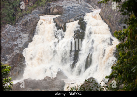 The Barron Falls on the Barron Gorge just below Kuranda in the Atherton Tablelands, Queensland, Australia. Stock Photo